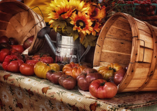 Картинка еда помидоры урожай