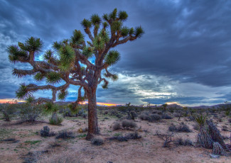 Картинка природа пустыни простор