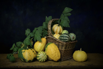 Картинка еда овощи снедь