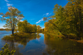 Картинка природа реки озера река лес