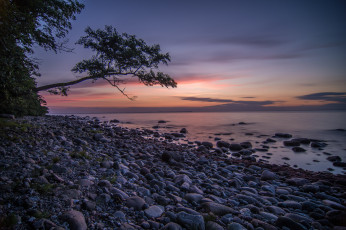 Картинка природа побережье берег море