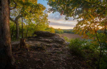 Картинка природа реки озера река лес