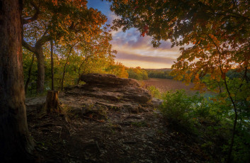 Картинка природа реки озера река лес