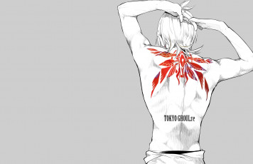 Картинка аниме tokyo+ghoul токийский гуль