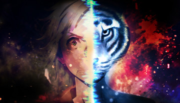 Картинка аниме bungou+stray+dogs бродячие псы