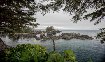 Картинка природа побережье берег море