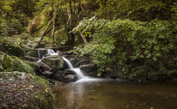 Картинка природа реки озера водопад деревья лес