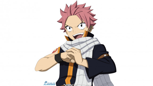 Обои картинки фото аниме, fairy tail, хвост, феи