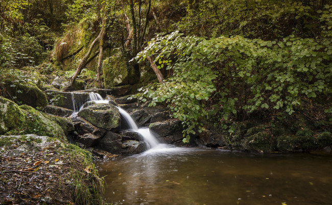 Обои картинки фото природа, реки, озера, водопад, деревья, лес