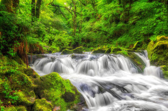 Картинка природа реки озера простор