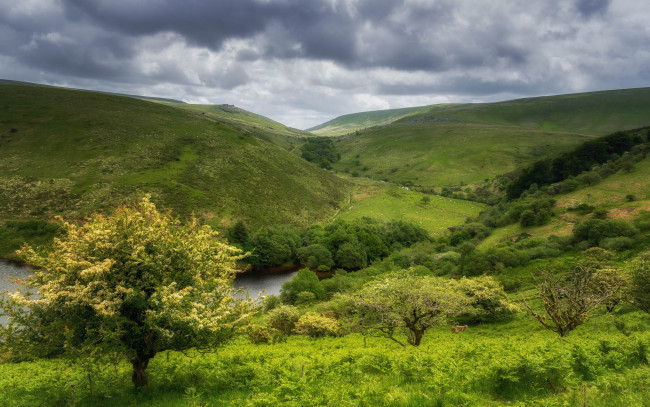 Обои картинки фото природа, пейзажи, простор