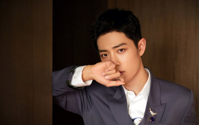 Обои картинки фото мужчины, xiao zhan, актер, пиджак, брошь