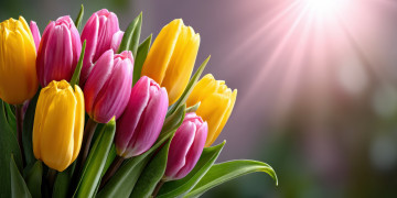 Картинка 3д+графика цветы+ flowers тюльпаны