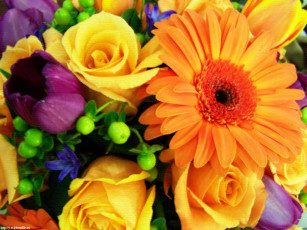 Картинка цветочки цветы разные вместе