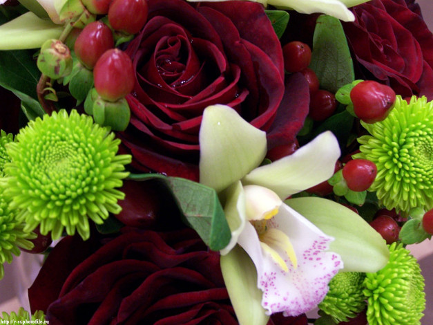 Обои картинки фото цветочки, цветы, разные, вместе