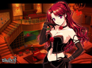 Картинка видео игры mabinogi