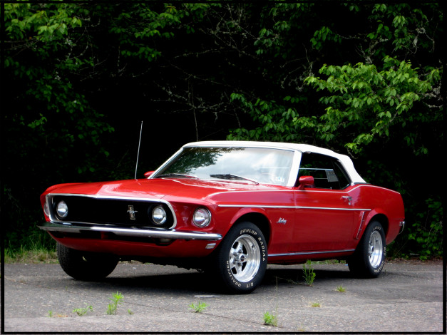 Обои картинки фото автомобили, mustang