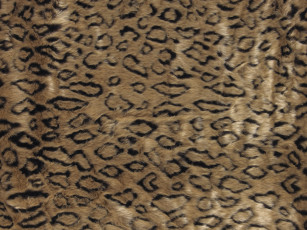 Картинка разное текстуры