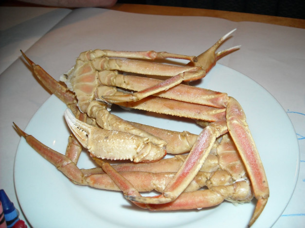 Обои картинки фото еда, рыба, морепродукты, суши, роллы