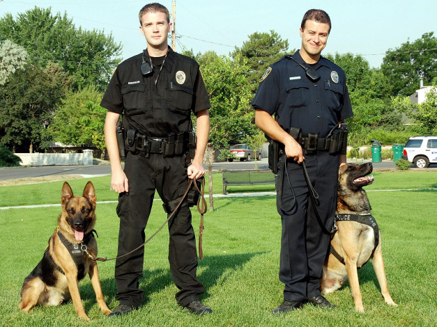 Обои картинки фото мужчины, unsort