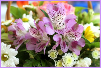 Картинка цветы букеты композиции букет лето