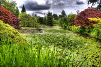 Картинка vandusen botanical garden vancouver природа парк