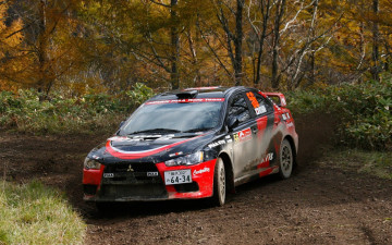 обоя спорт, авторалли, гонка