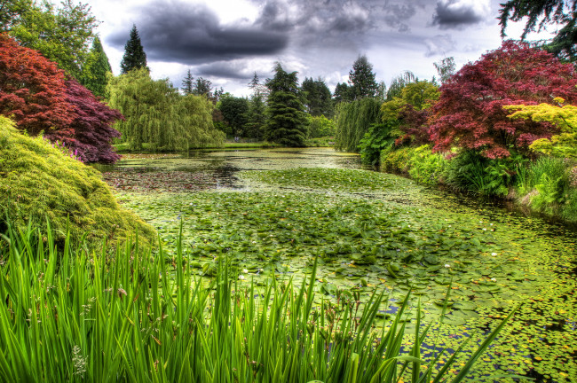 Обои картинки фото vandusen, botanical, garden, vancouver, природа, парк