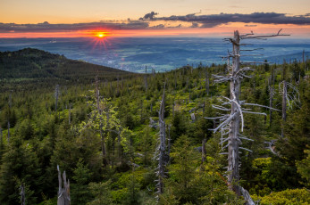Картинка jizera mountains природа восходы закаты Чехия czech republic деревья лес пейзаж панорама закат йизерские горы