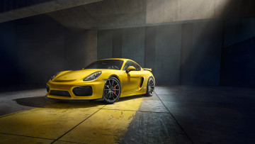 обоя автомобили, porsche, желтый, 2015г, 981c, gt4, cayman