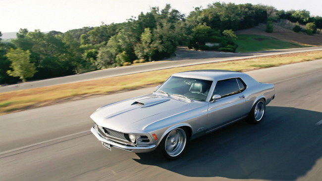 Обои картинки фото 1970 ford mustang, автомобили, mustang, 1970, ford