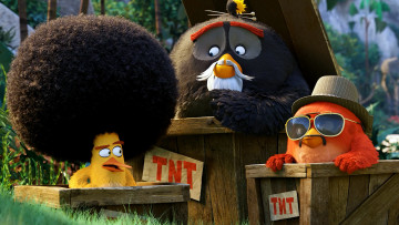 обоя мультфильмы, the angry birds movie, персонажи