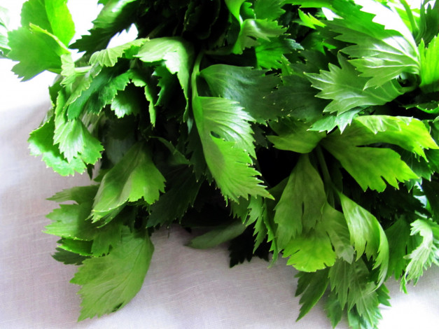 Обои картинки фото еда, овощи, сельдерей
