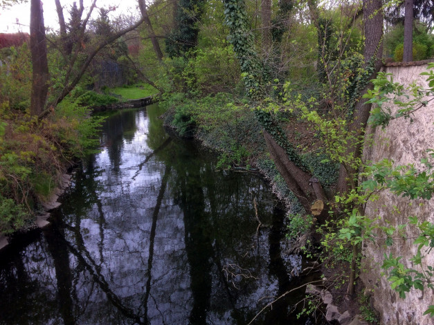 Обои картинки фото природа, реки, озера, река, деревья