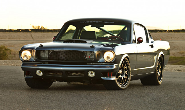 Обои картинки фото автомобили, mustang