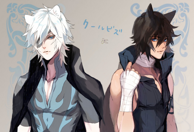 Обои картинки фото аниме, lamento, рай, асато, бинты, плащ, ушки