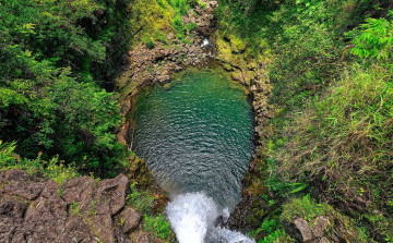 Картинка природа реки озера озеро зелень