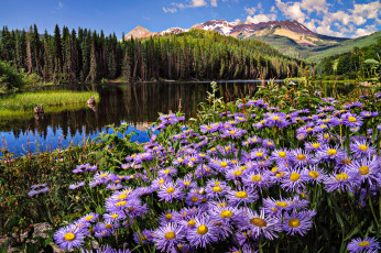 Картинка природа реки озера пейзаж