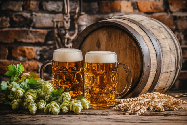 Обои картинки фото еда, напитки,  пиво, бочонок, бокалы, пиво, хмель