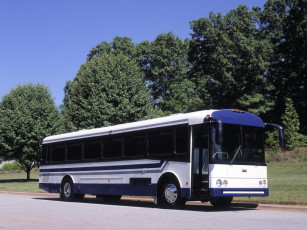 Картинка автомобили автобусы