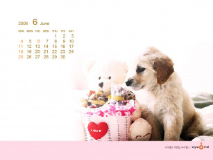 обоя календари, животные