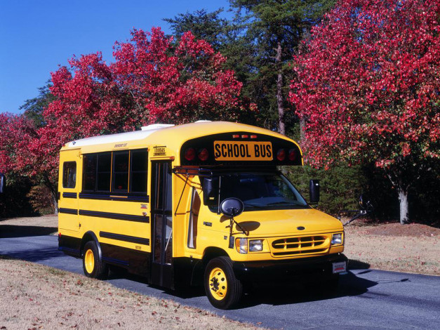 Обои картинки фото автомобили, автобусы