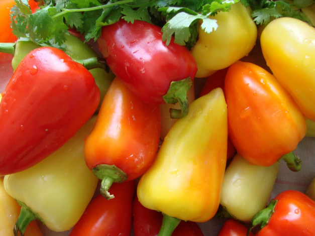 Обои картинки фото еда, перец