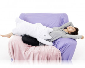 Картинка бренды spris