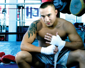 Картинка бренды spris