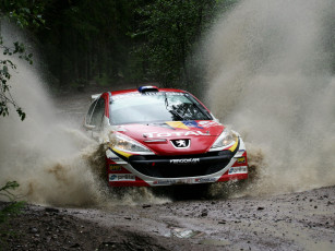 Картинка спорт авторалли