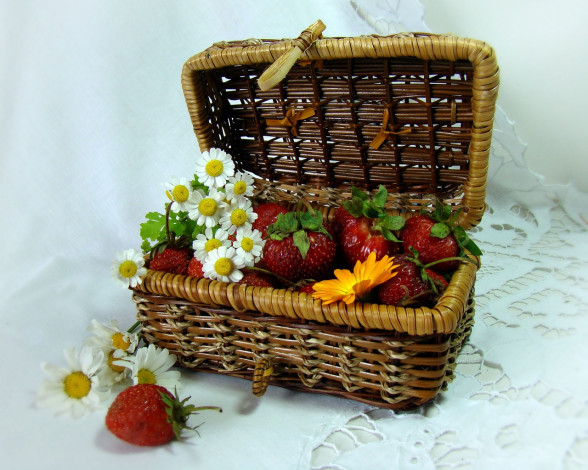 Обои картинки фото izumrudinka2009, друзья, налетайте, хватит, на, всех, еда, клубника, земляника