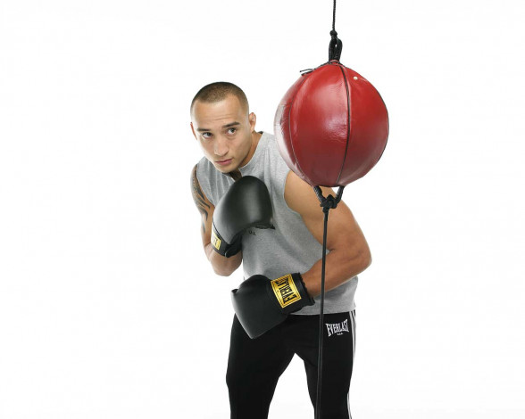 Обои картинки фото spris, бренды