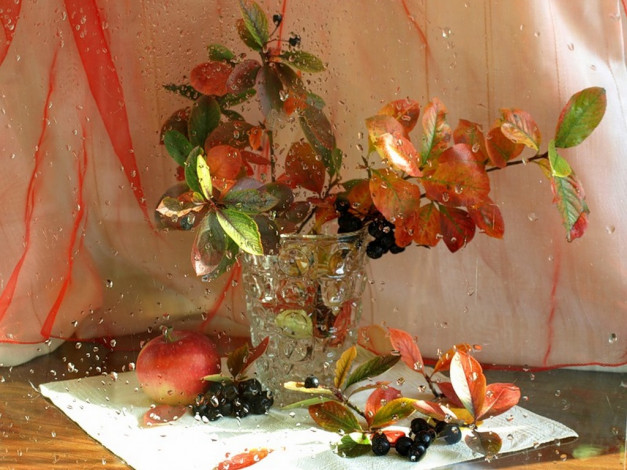 Обои картинки фото xsanf, сентябрьский, натюрморт, еда