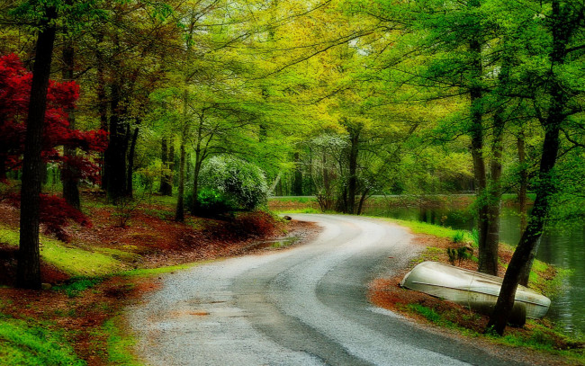 Обои картинки фото природа, дороги